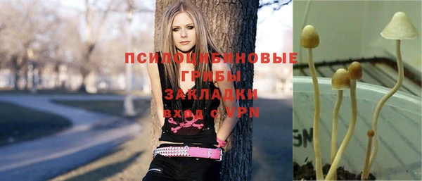 кокс Алзамай
