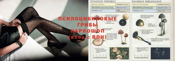 кокс Алзамай