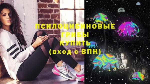 кокс Алексин