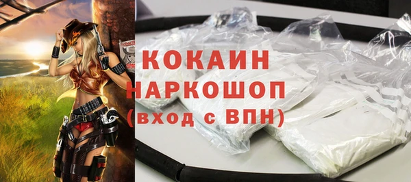 кокс Алексин
