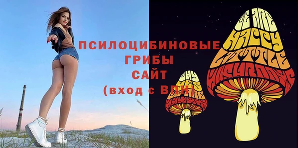дживик Алексеевка