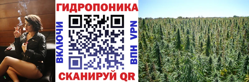 Марихуана LSD WEED даркнет сайт Йошкар-Ола